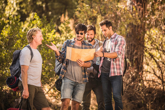 Four male hikers map reading in forest, Deer Park, Cape Town, South Africa