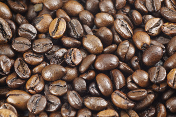 Fototapeta premium Coffee Beans