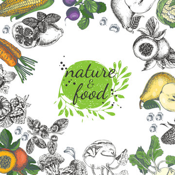 Nature food vector poster. Vintage frame with fruit, vegetables in vintage style. Sketch background.