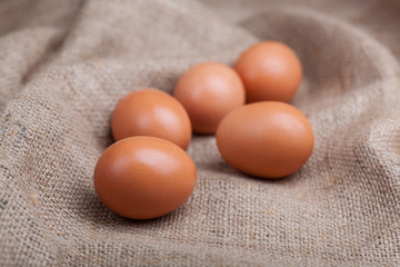 Fresh eggs scattered on sacking