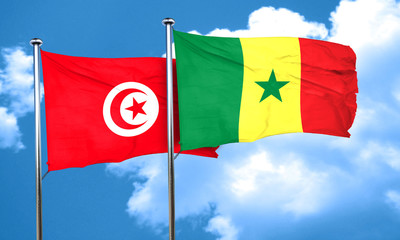 Tunesia flag with Senegal flag, 3D rendering