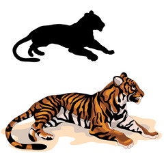 adult tiger is realistic black color silhouette vector illustration