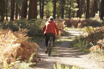 Man mountain biking through a forest, back view