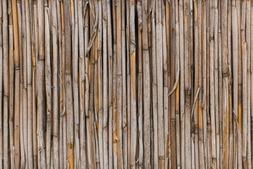 The texture of the dry reeds. Yellow reeds. A fence made of reeds. The roof is covered with reeds. Twigs. Sticks. Background. Tree. Dry grass.