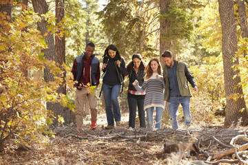 Five friends enjoying a hike in a forest, California, USA