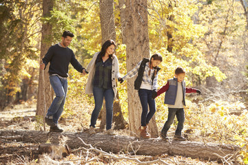 Happy family hold hands balancing on fallen tree in a forest