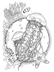 jellyfishes and marine life