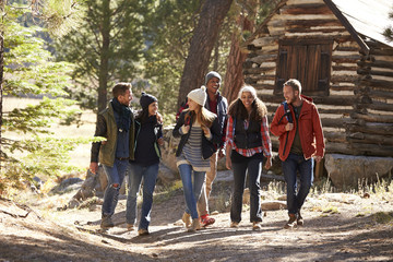 Obraz na płótnie Canvas Six friends walking on forest path near a log cabin