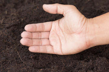 dirty hand / dirty hand on soil
