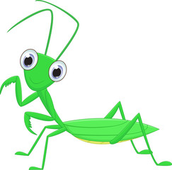 cute Praying mantis grasshopper cartoon