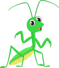 cute Praying mantis grasshopper cartoon