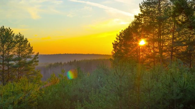 sunset in the forest, panoramic time-lapse