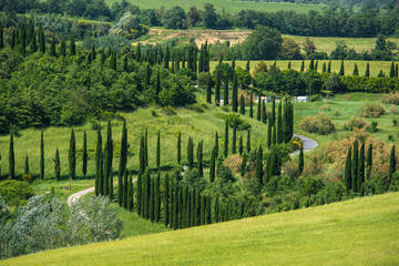 Fototapeta na wymiar Tuscan countryside