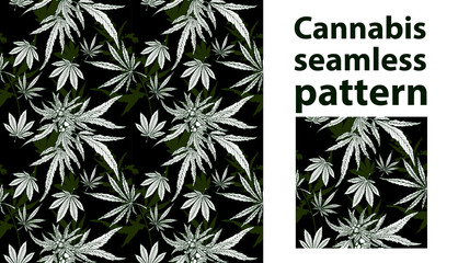 Cannabis leaf vector seamless pattern