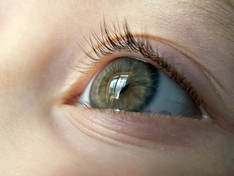 Eye of the child close-up