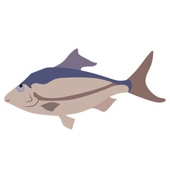 A simple image of a fish