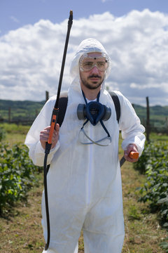 Man spraying chemicals on his raspberry field,colored and under exposed photo.Focus on sprayer