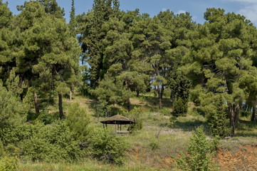 Landscape by Kerkini shore with forest and repose house, nord Greece