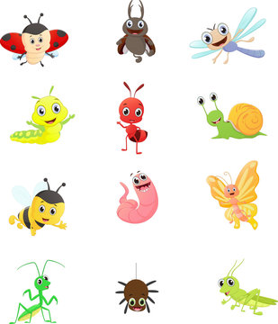 Insect cartoon collection