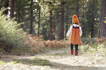 Asian toddler girl walking alone in a forest, back view