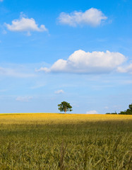 Paysage de campagne en France