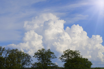 Obraz premium Fluffy clouds, bright summer photo.