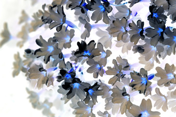 Background  from primrose flowers, invert method