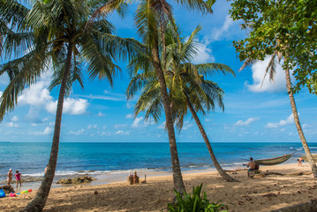 Naklejka na ściany i meble Family at playa Cocles - beautiful tropical beach close to Puerto Viejo - Costa Rica
