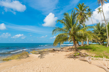 Naklejka na ściany i meble Playa Cocles - beautiful tropical beach close to Puerto Viejo - Costa Rica