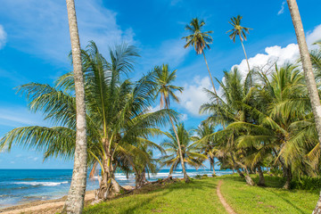 Fototapeta na wymiar Playa Cocles - beautiful tropical beach close to Puerto Viejo - Costa Rica