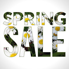 Spring Sale typography composition. Vector promotional background