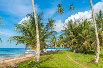 Fototapeta na wymiar Playa Cocles - beautiful tropical beach close to Puerto Viejo - Costa Rica