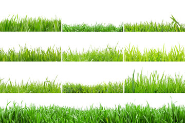 Grass in high definition isolated on a white background