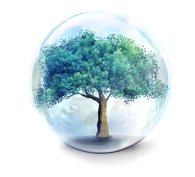 Fototapeta tree in glass ball