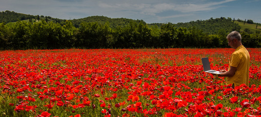 Business man at work