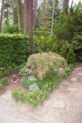 Grab unter  einem kleinen Baum