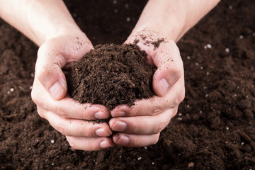 Soil in hands