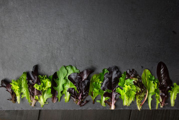 Lettuce salad leaves on textured, stone background, place for te