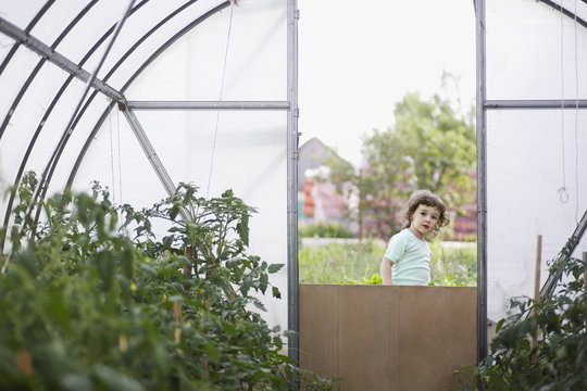 A young girl looking in to a greenhouse