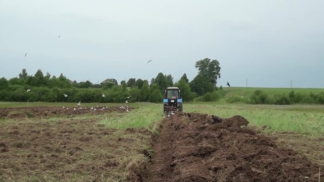 трактор пашет поле