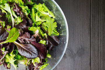 Fresh green salad with arugula, red chard, mangold and lettuce i © ftania
