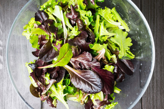 Fresh Green Salad With Arugula, Red Chard, Mangold And Lettuce I