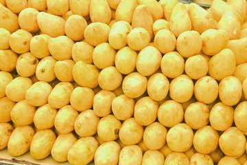 Mango fruit © Oculo