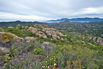 Rocky landscape of Desert des Agriates in Northern Corsica