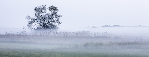 Podlasie-mglisty poranek © Janusz Lipiński