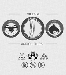 Vintage infographics farming and harvest