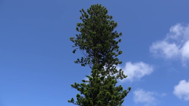 This video is about Bermuda PRJ