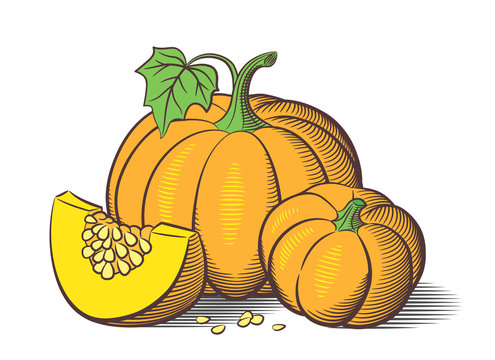 Stylized image of pumpkins. Big pumpkin, small pumpkin and pumkin slice with seeds
