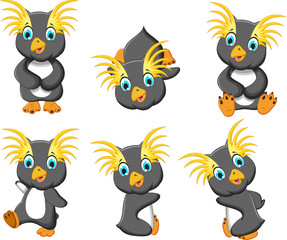 set of king penguin cartoon posing