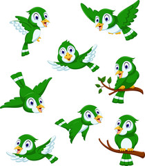 set of Cute green bird cartoon posing